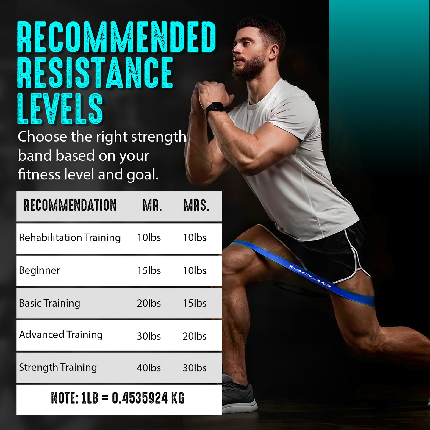 Full Body Resistance Band Set (With Door Anchor)